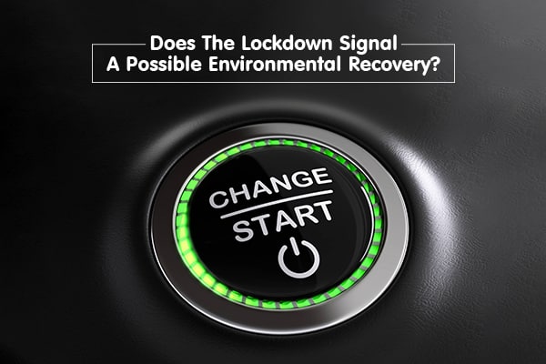 Can The Lockdown That Prevented A Tragedy Start An Environmental Recovery?